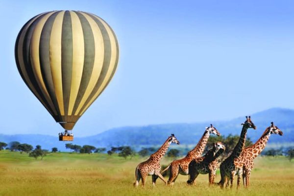 Balloon Safari in Maasai Mara