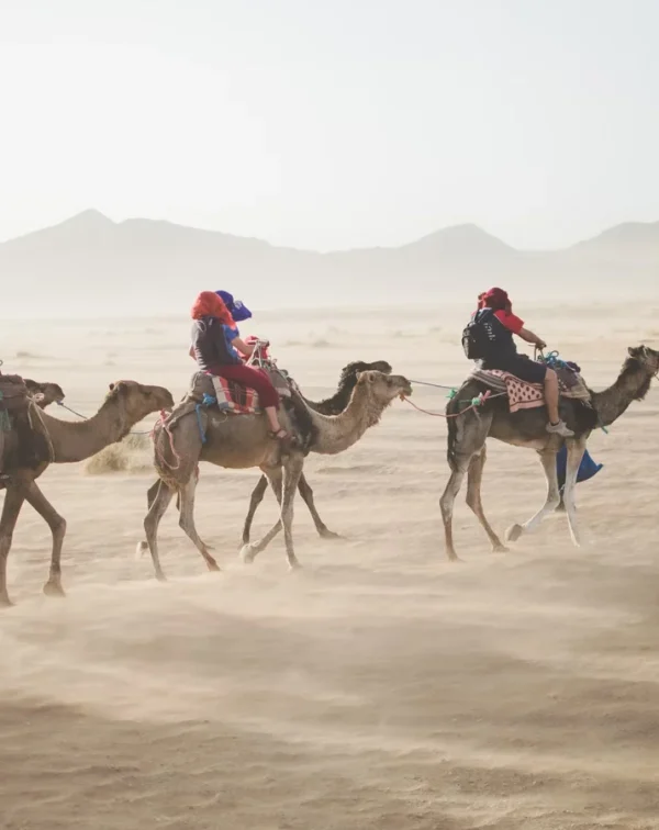 Interlaken Winter – Meet Us There