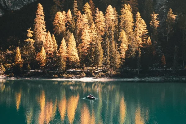 Lake District From Edinburgh, UK