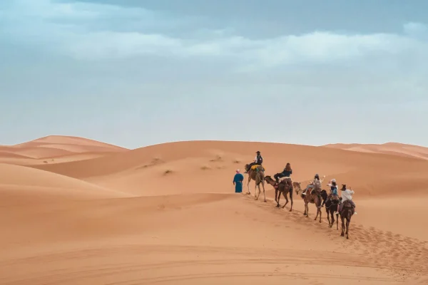 Cultural Experience with Toledo